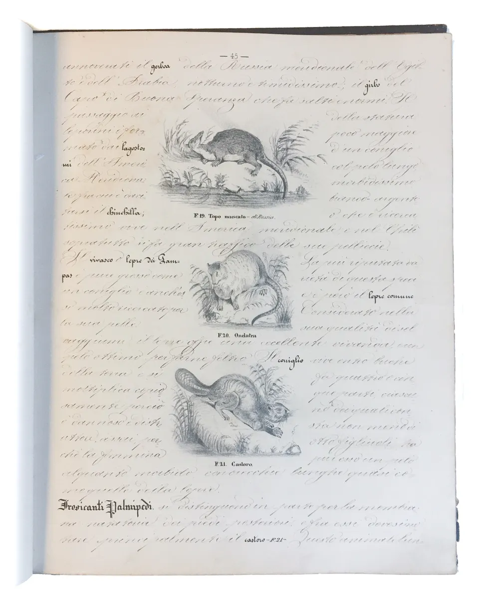 [Three illustrated notebooks.]