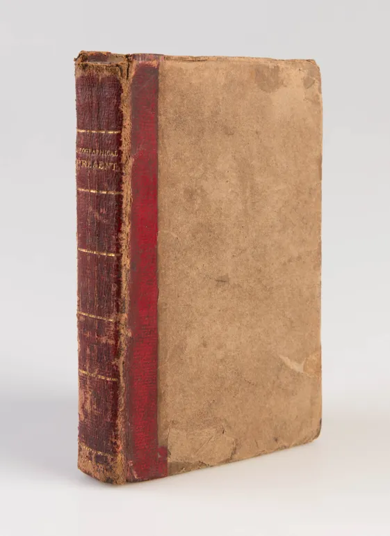A Geographical Present; Being Descriptions of the Principal Countries of the World;