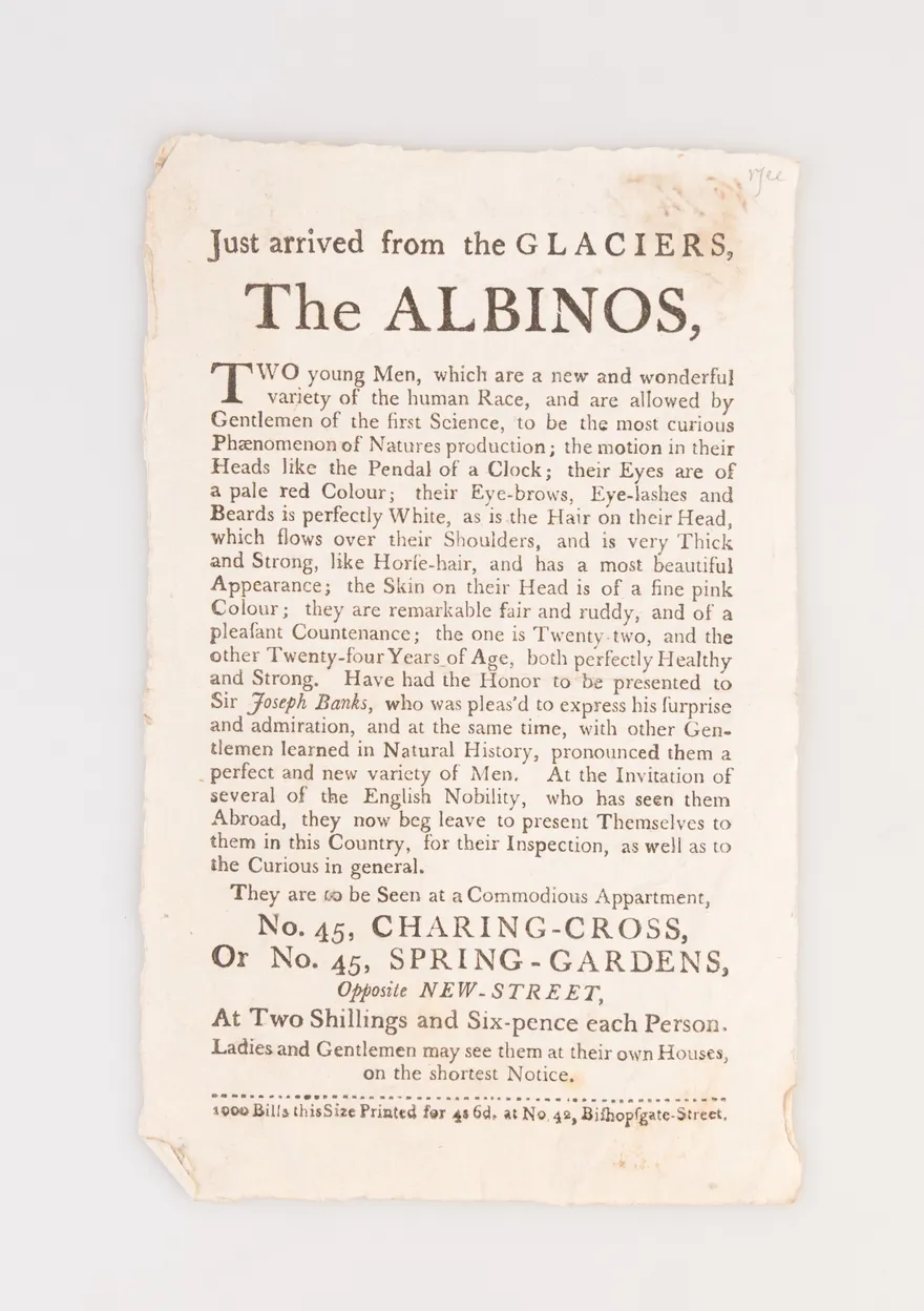 Just arrived from the Glaciers. The Albinos, two young men, which are a new and wonderful variety of the human race ...