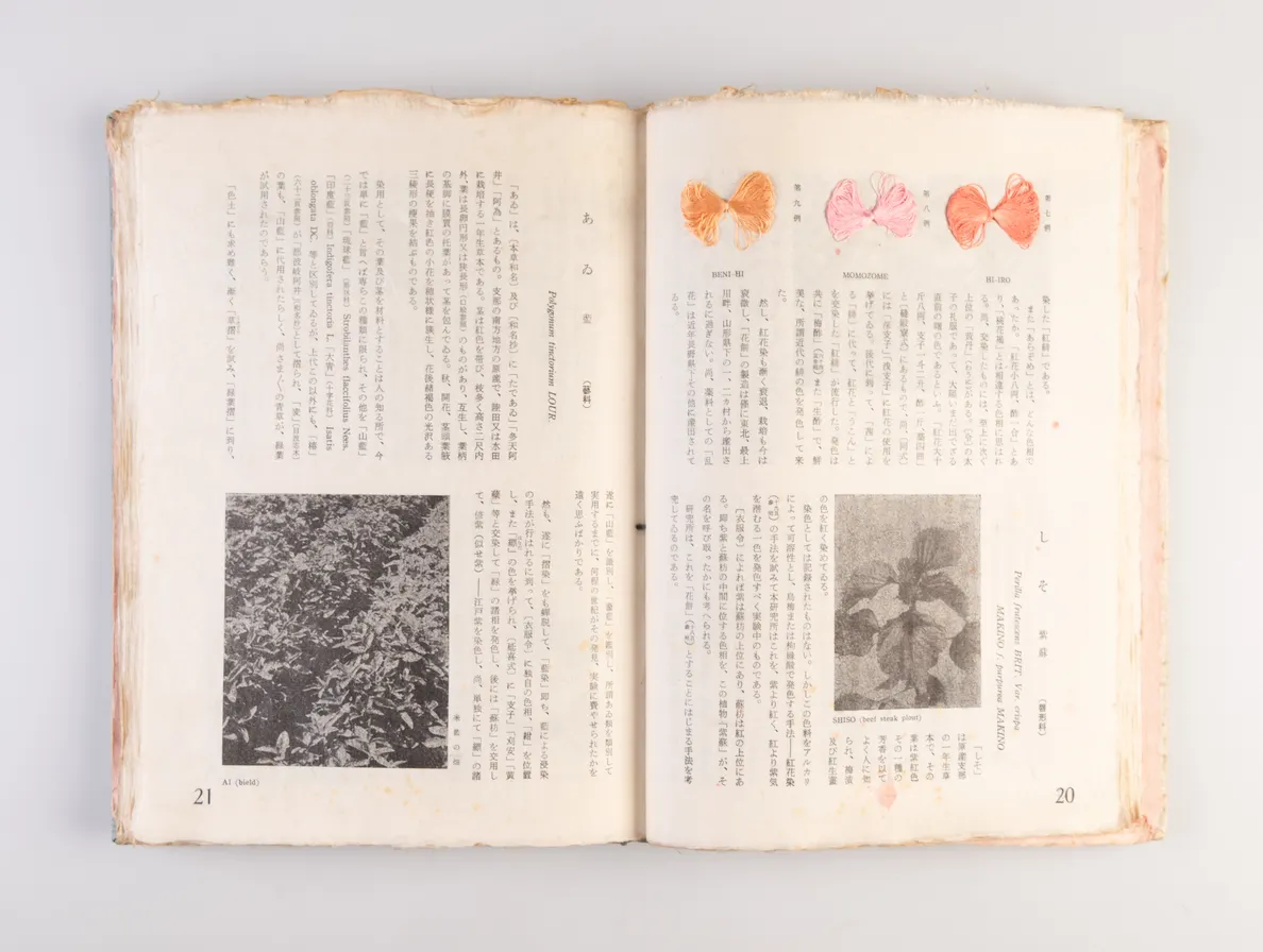 Nihon kuzakizome fu [Japanese plant dyeing manual] / Monograph of Plant-Dyeing Peculiar to Japan