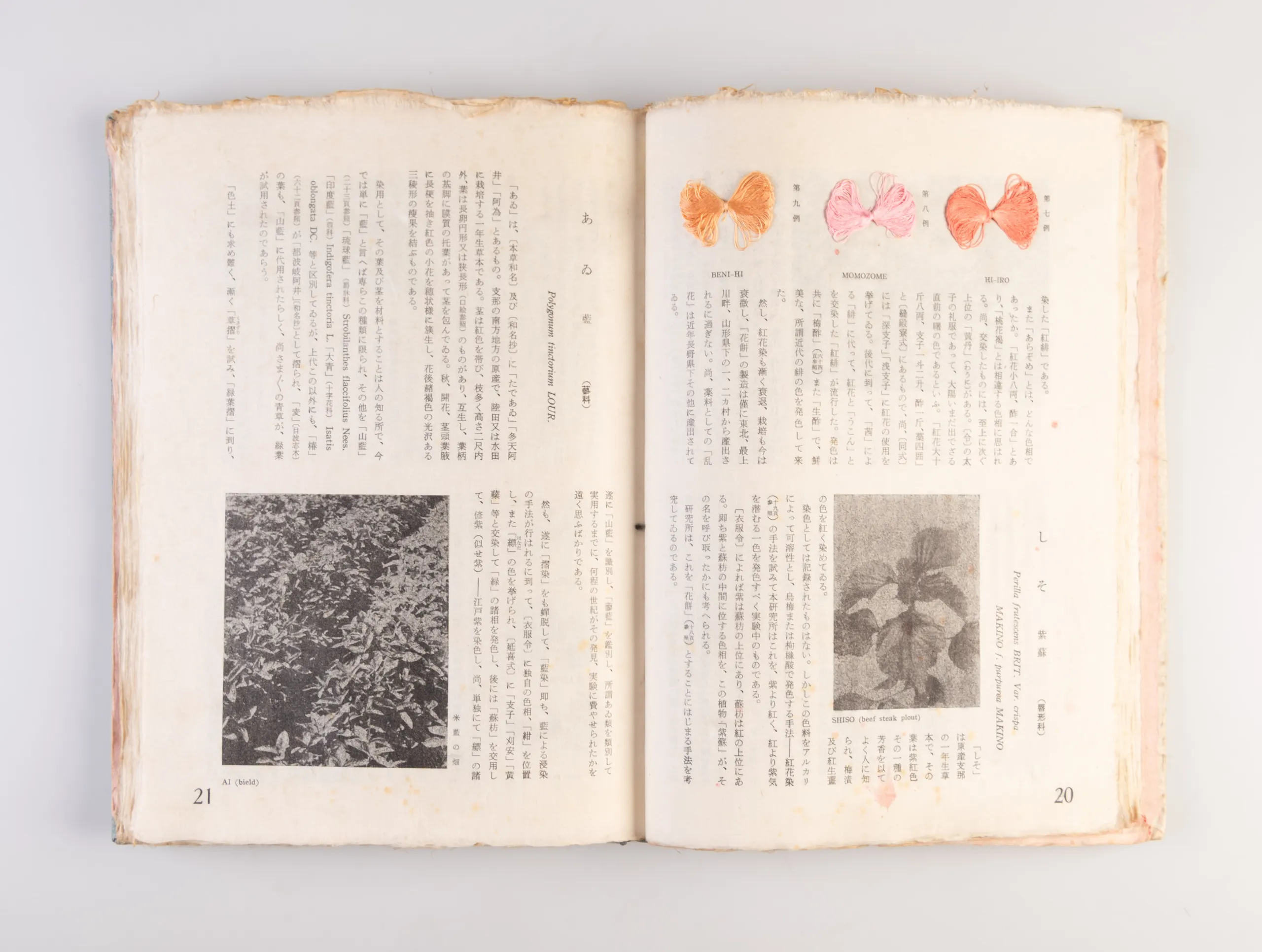 Nihon kuzakizome fu [Japanese plant dyeing manual] / Monograph of Plant-Dyeing Peculiar to Japan