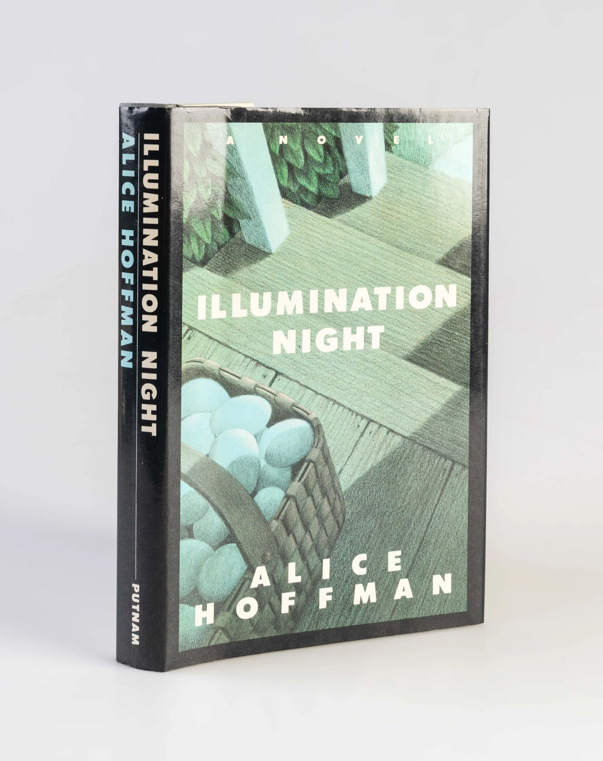 Illumination Night.