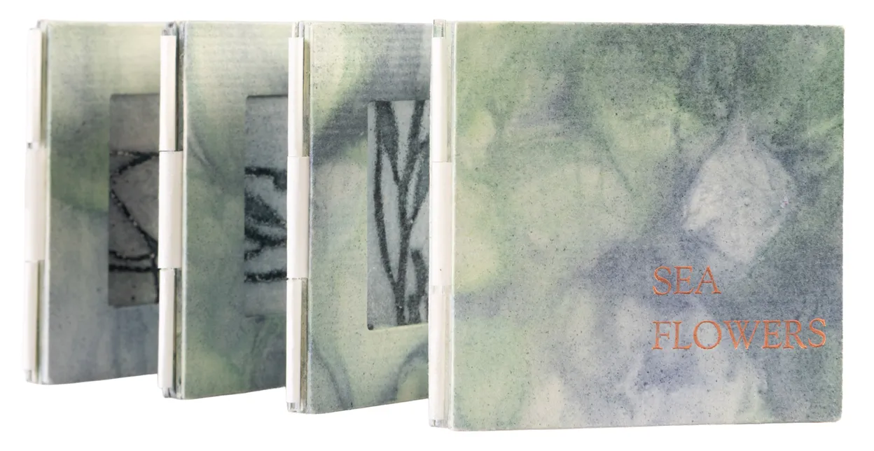 15 Miranda Kemp, Sea Flowers copy