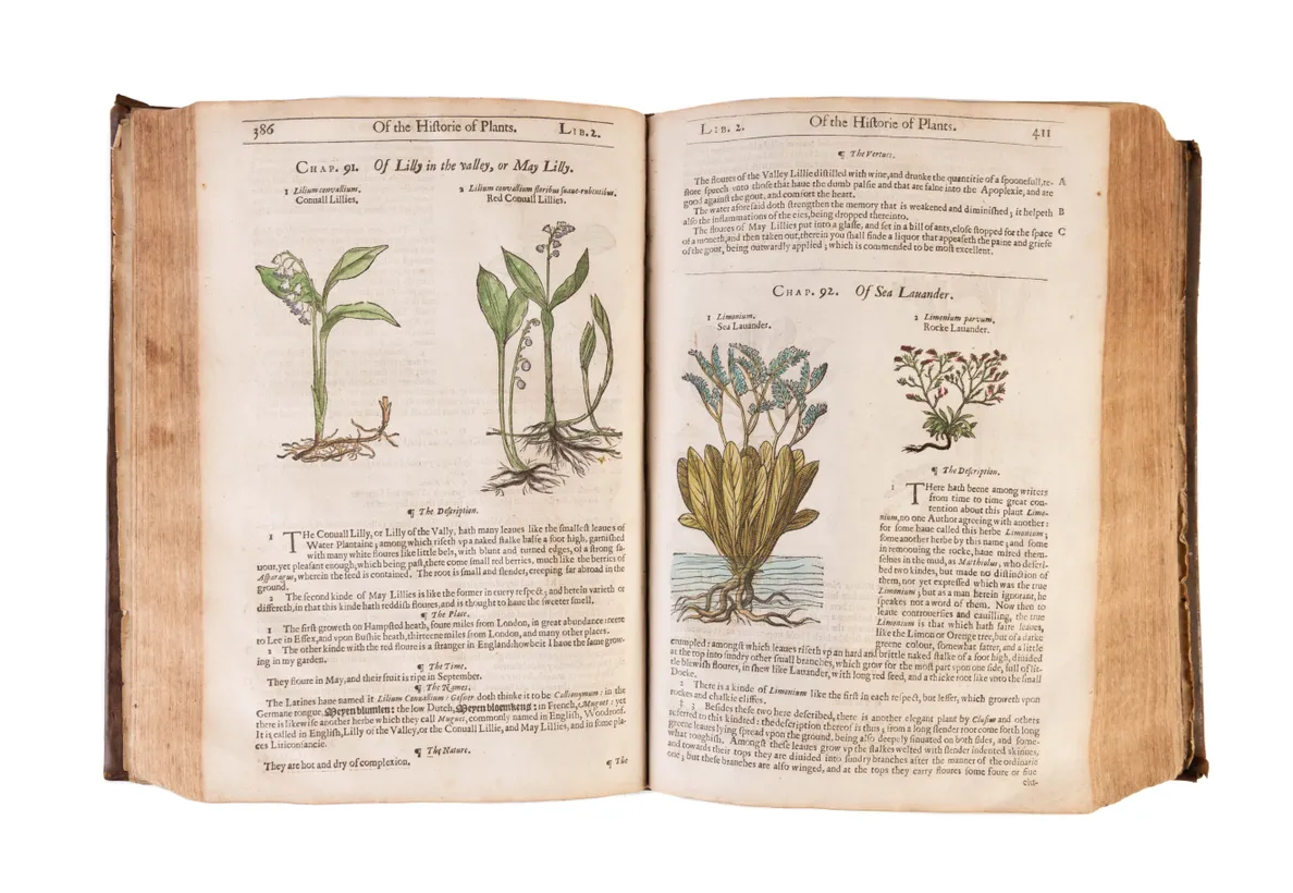 The Herball or Generall Historie of Plantes.