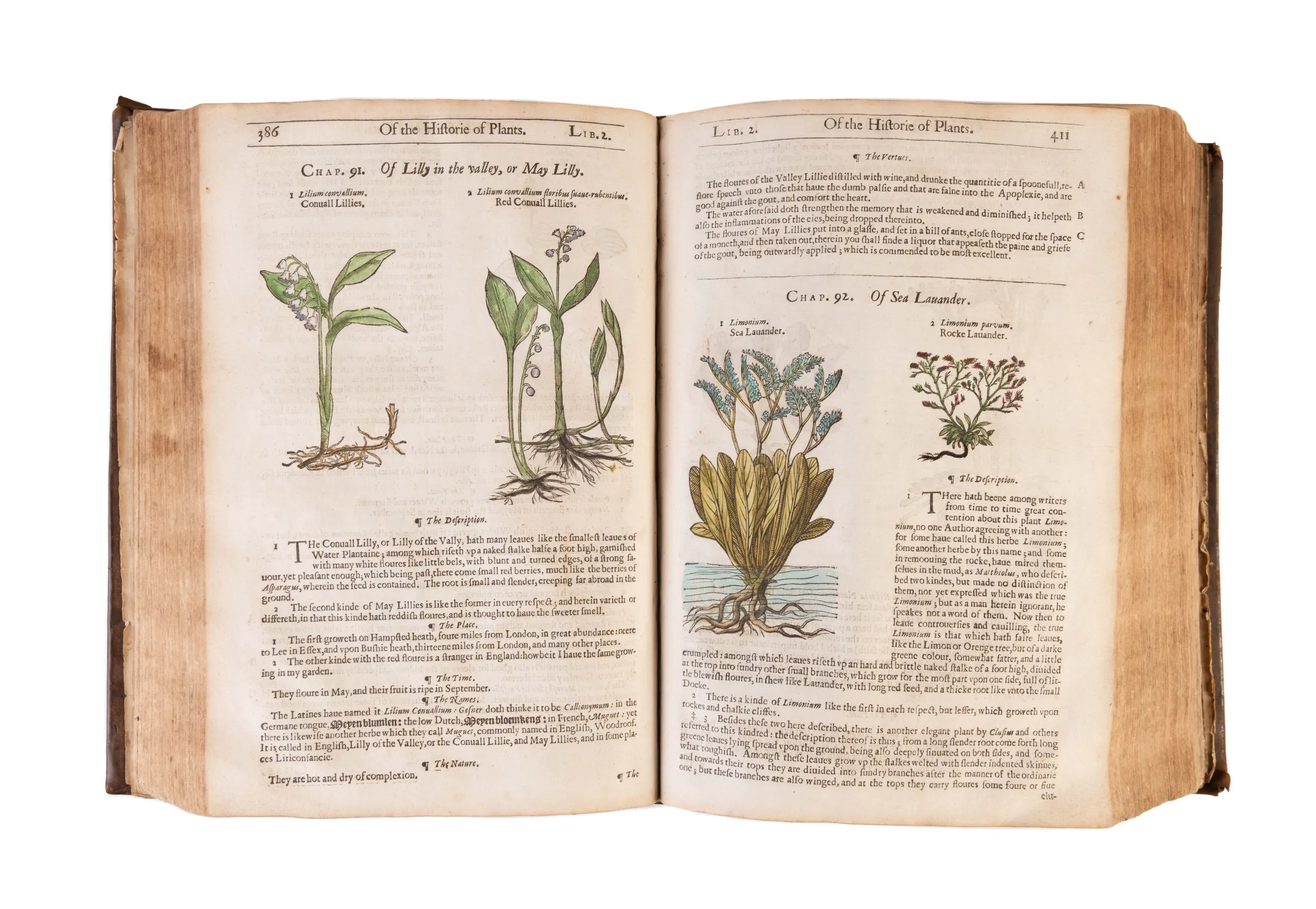 The Herball or Generall Historie of Plantes.