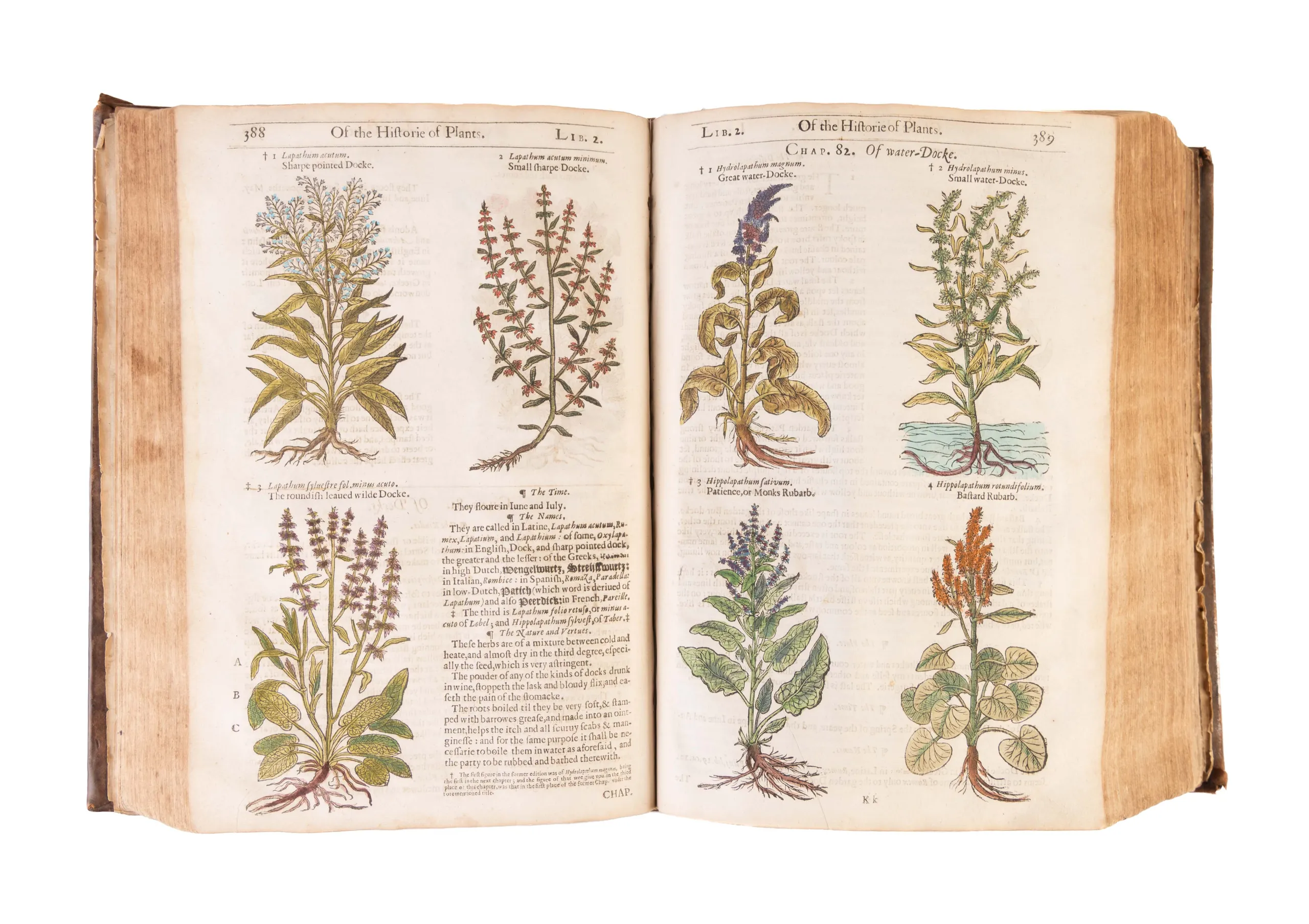 The Herball or Generall Historie of Plantes.