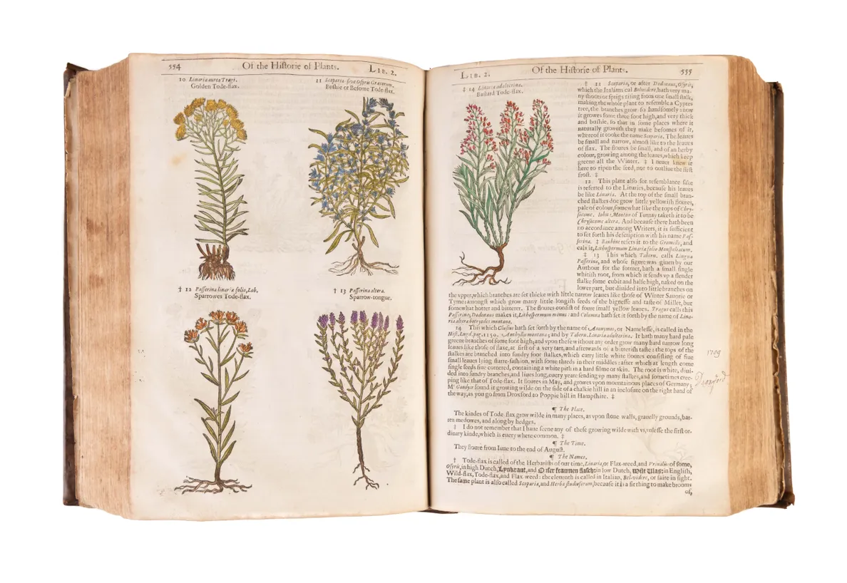 The Herball or Generall Historie of Plantes.