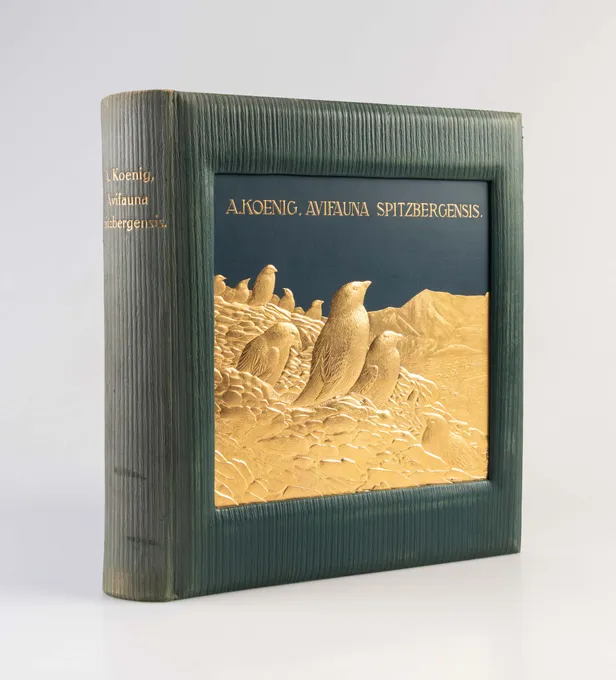 Avifauna Spitzbergensis. Forschungsreisen nach der Bären-Insel und dem Spitzbergen Archipel, mit ihren faunistischen und floristischen Ergebnissen.