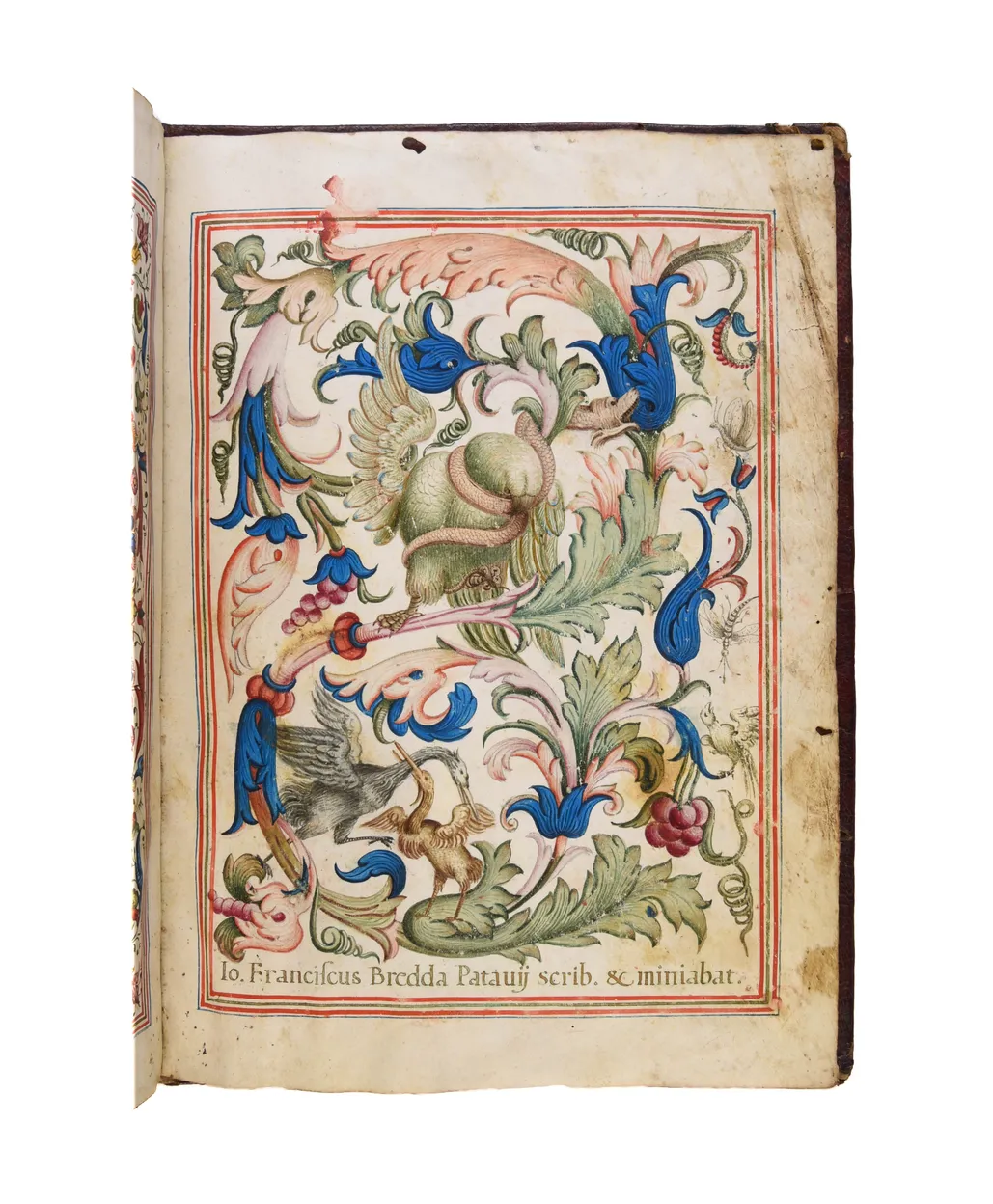 Paduan doctoral degree diploma, illuminated manuscript on vellum.